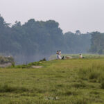 2024-10 - Népal - J11 - Parc National de Chitwan - 134